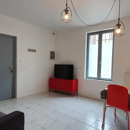 Chez Mamita : Appartement Dans Quartier Calme. Carcassonne Esterno foto